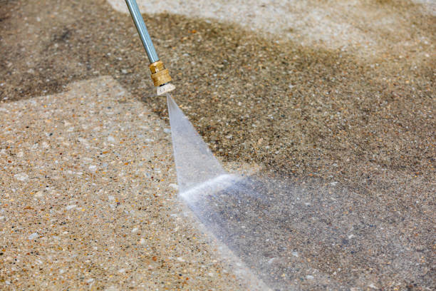 Best Warehouse Cleaning  in Carlisle, IA