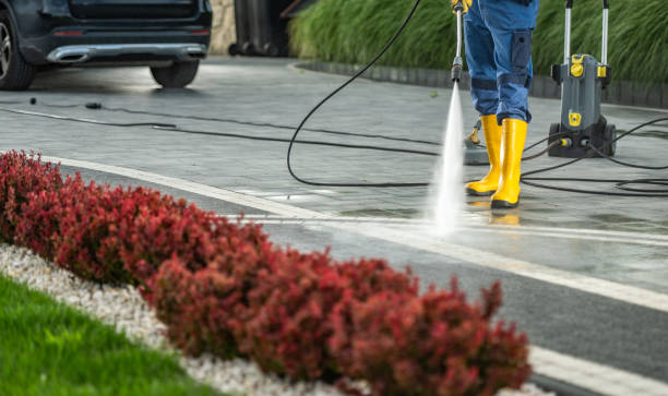 Best Fence Cleaning  in Carlisle, IA